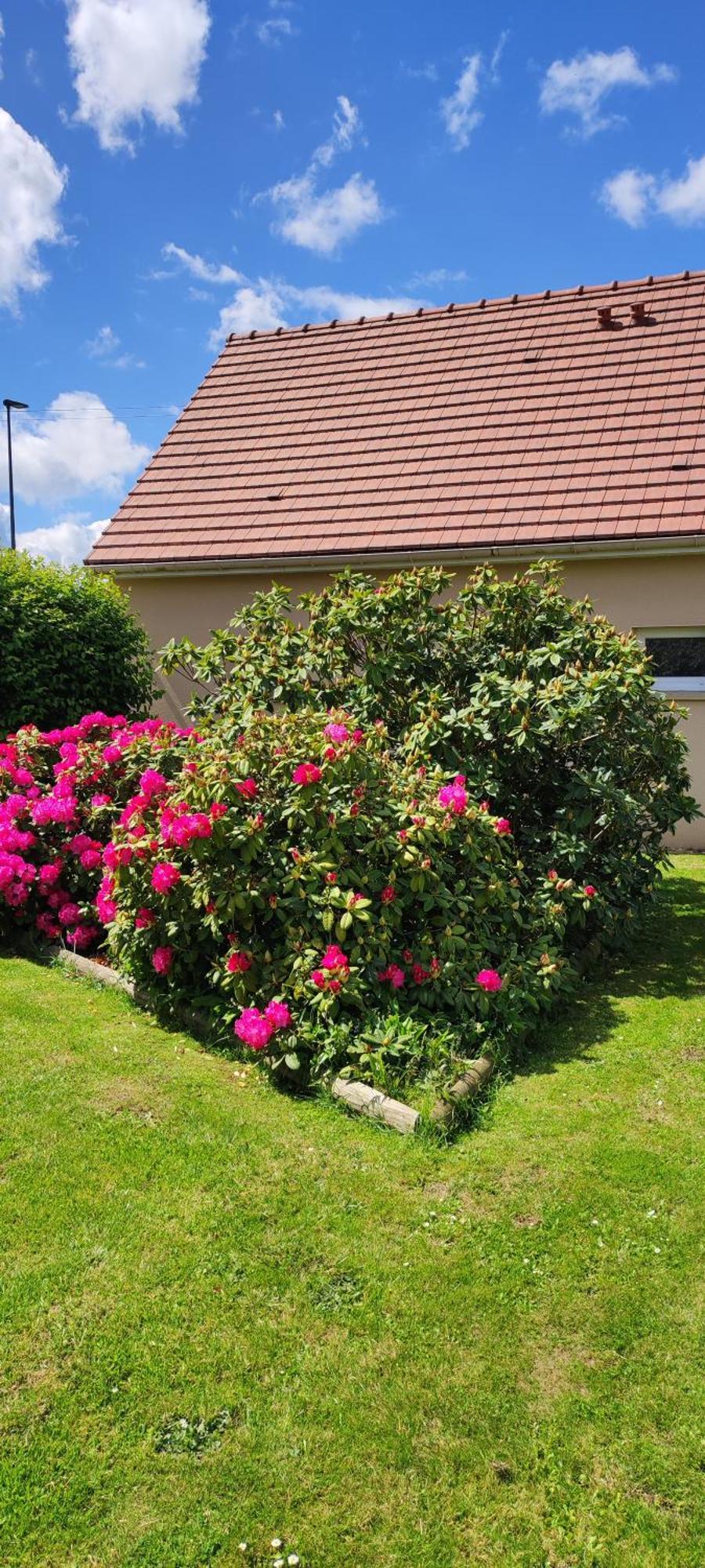 Le Ptit Normand Entre Ville & Plages Loucelles Екстериор снимка
